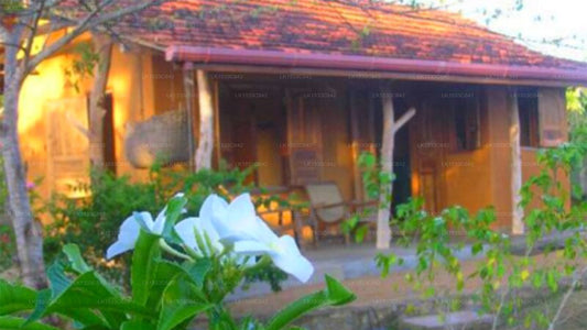 Taragala Place, Kalametiya