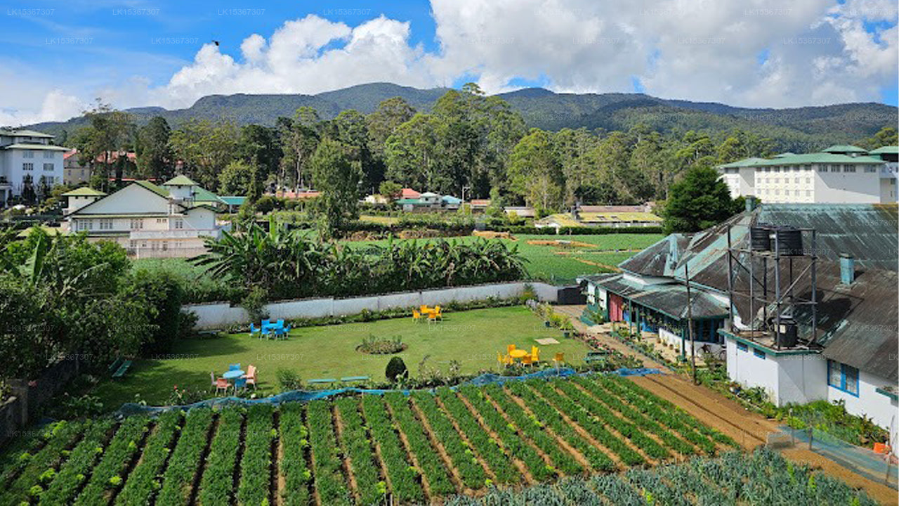 Hotel The Ramp, Nuwara eliya