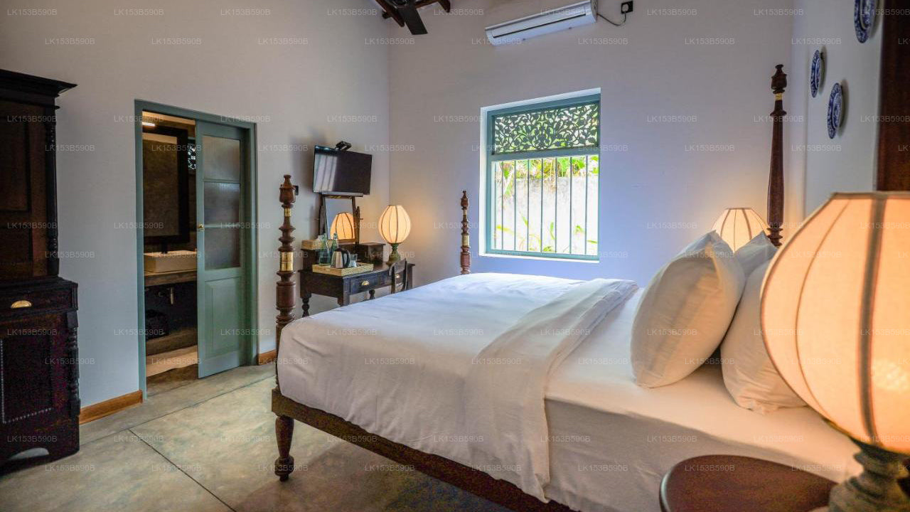 Moi Talpe by DBI, Talpe