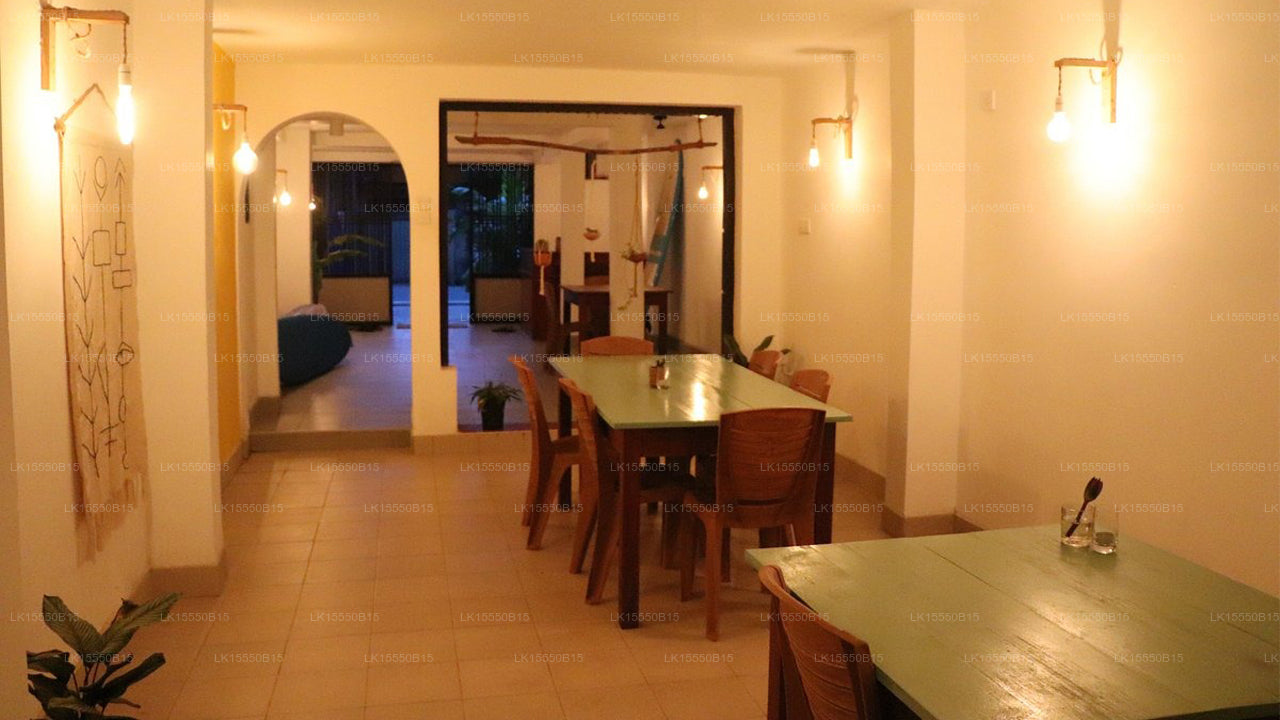 Layback Surf & Yoga Camp, Weligama