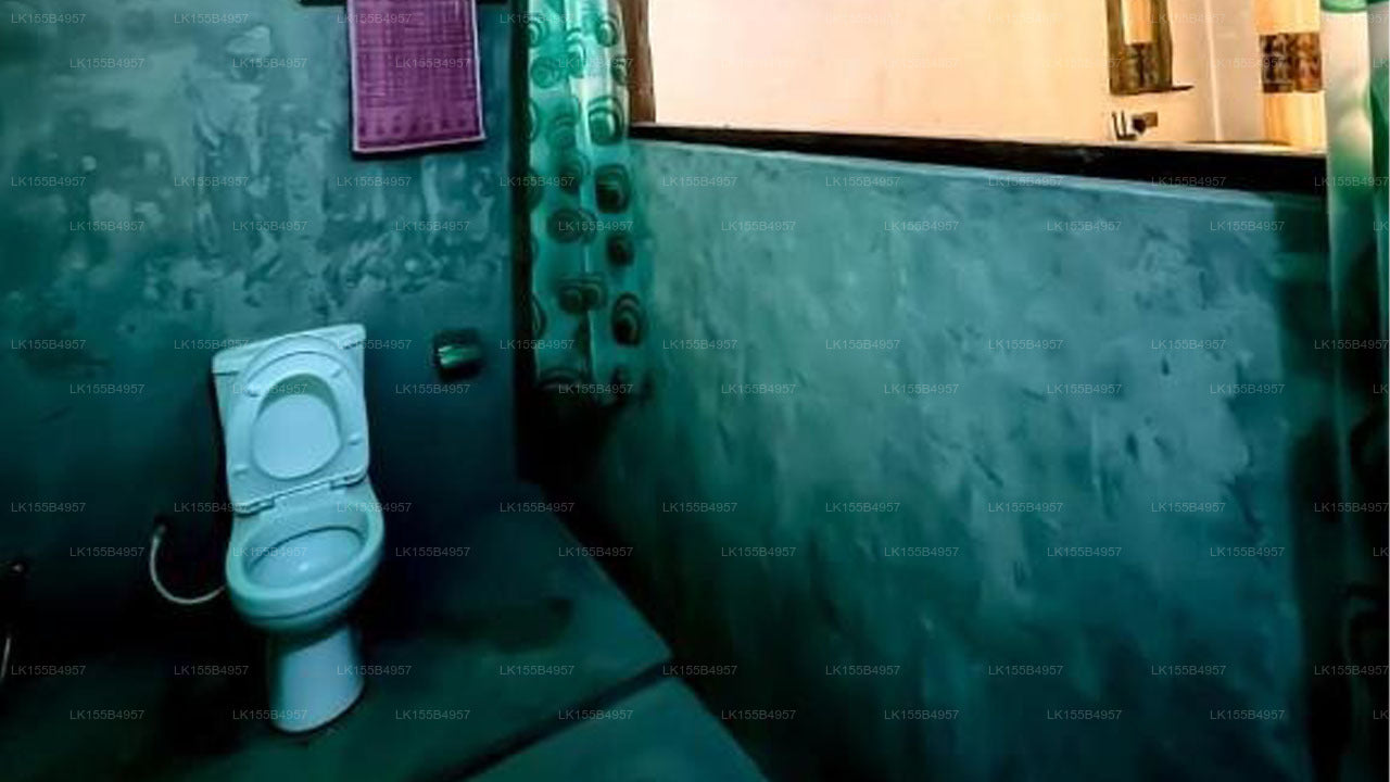 Bathroom with a toilet against a textured green wall