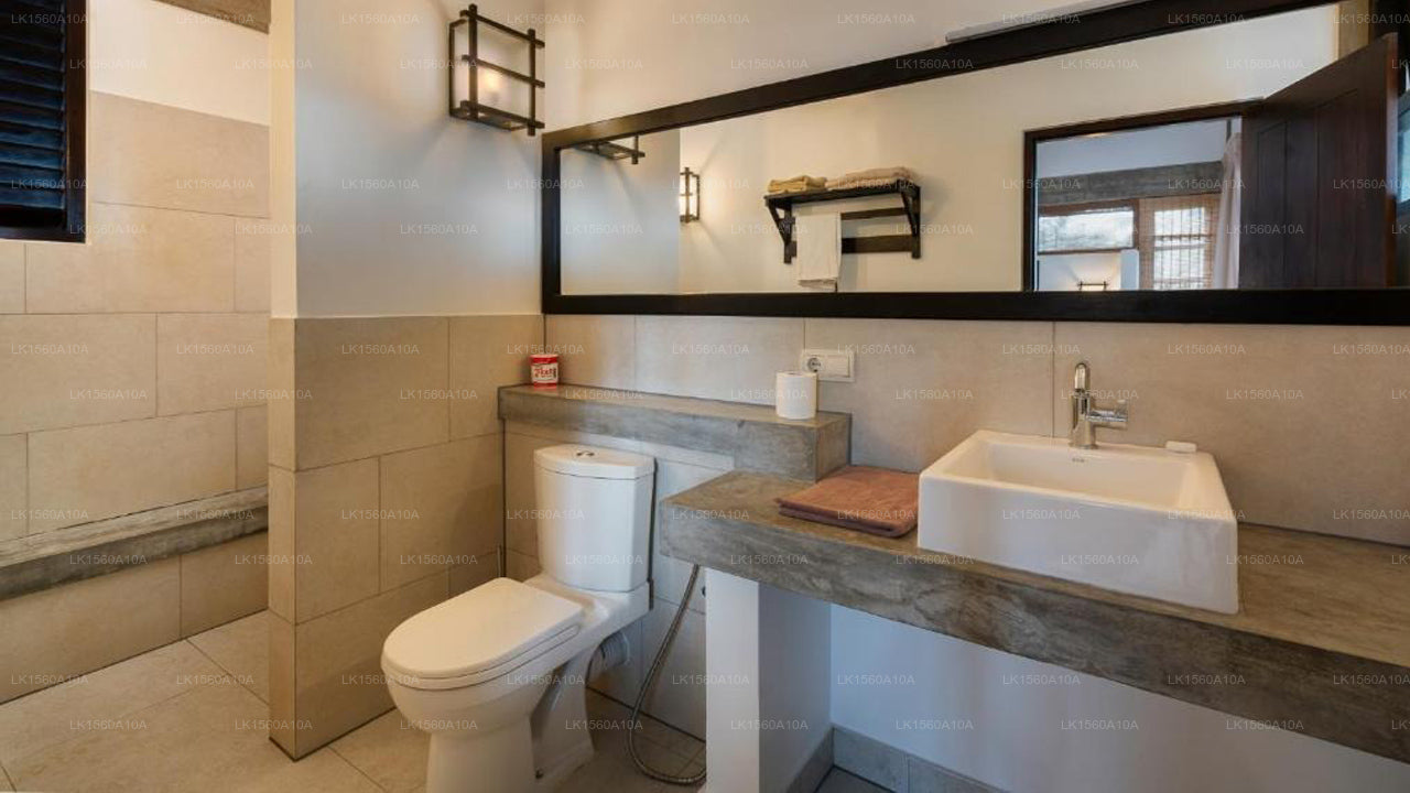 Seven Turtles, tangalla