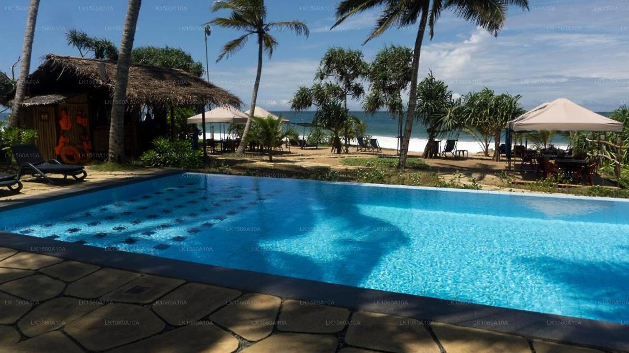 Seven Turtles, tangalla