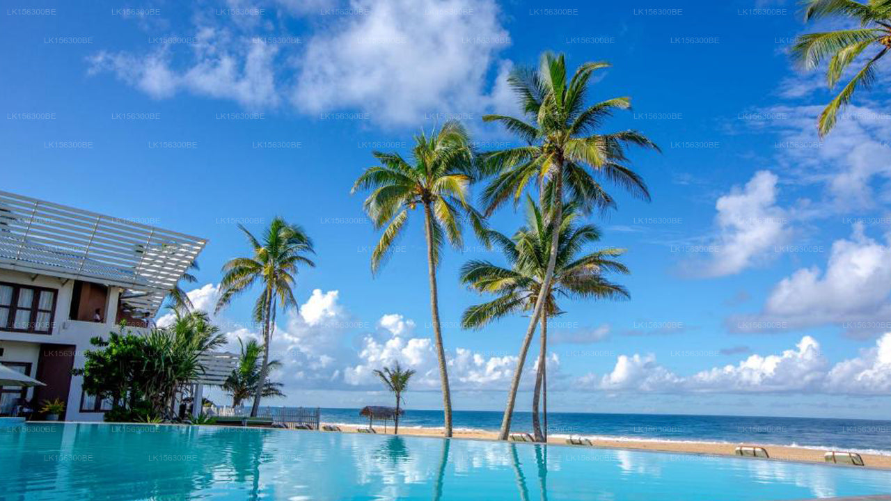 Avenra Beach, Hikkaduwa