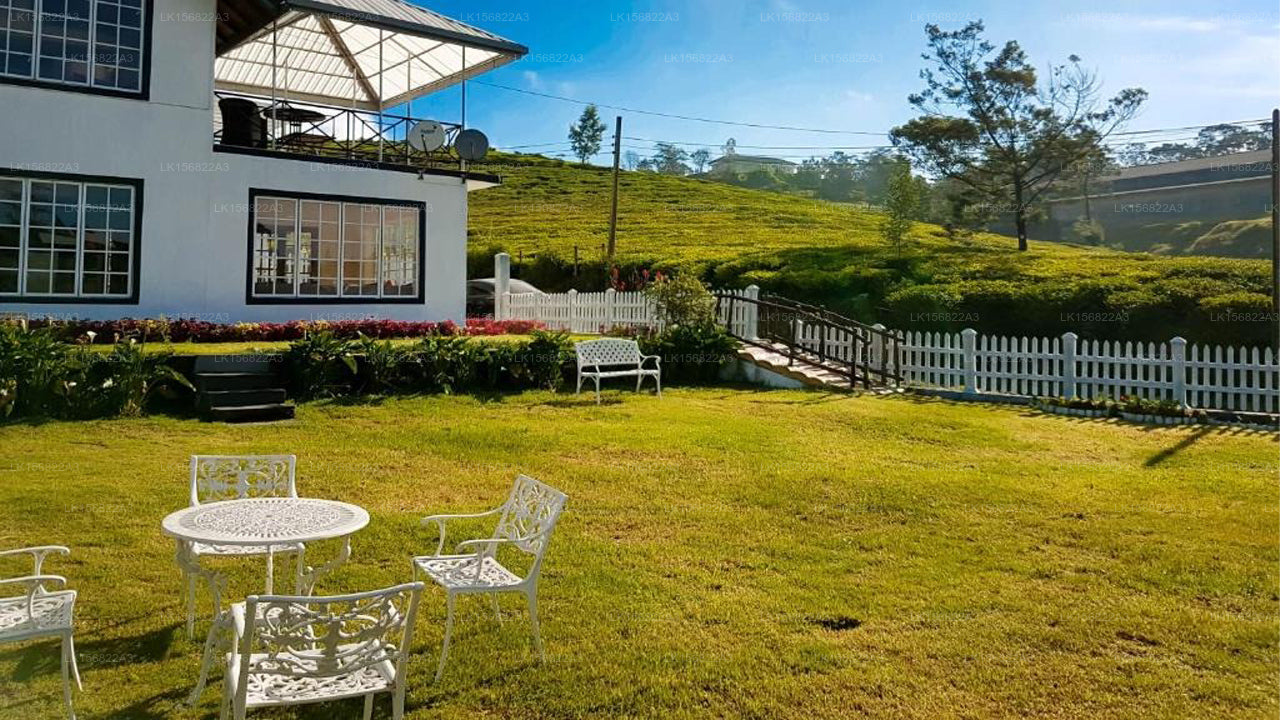 The Other Corner, Galaha