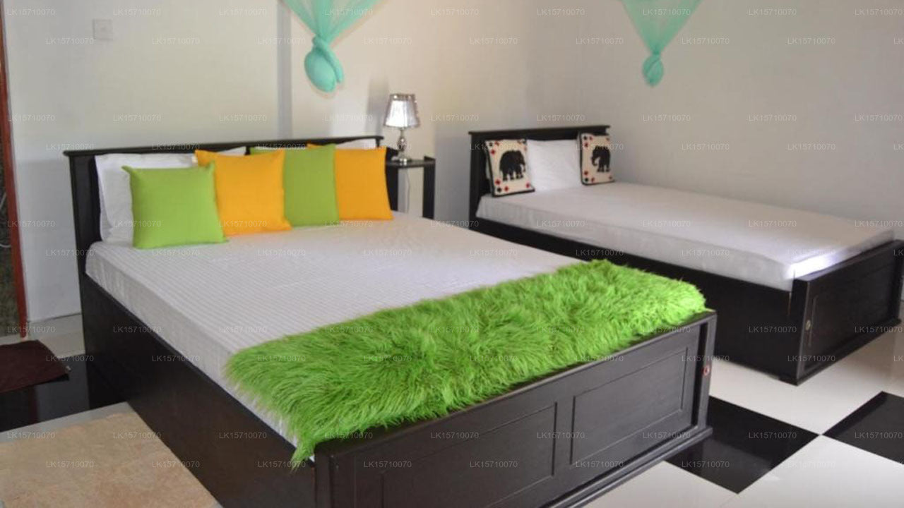 Lovely lodge & Hostel, Sigiriya