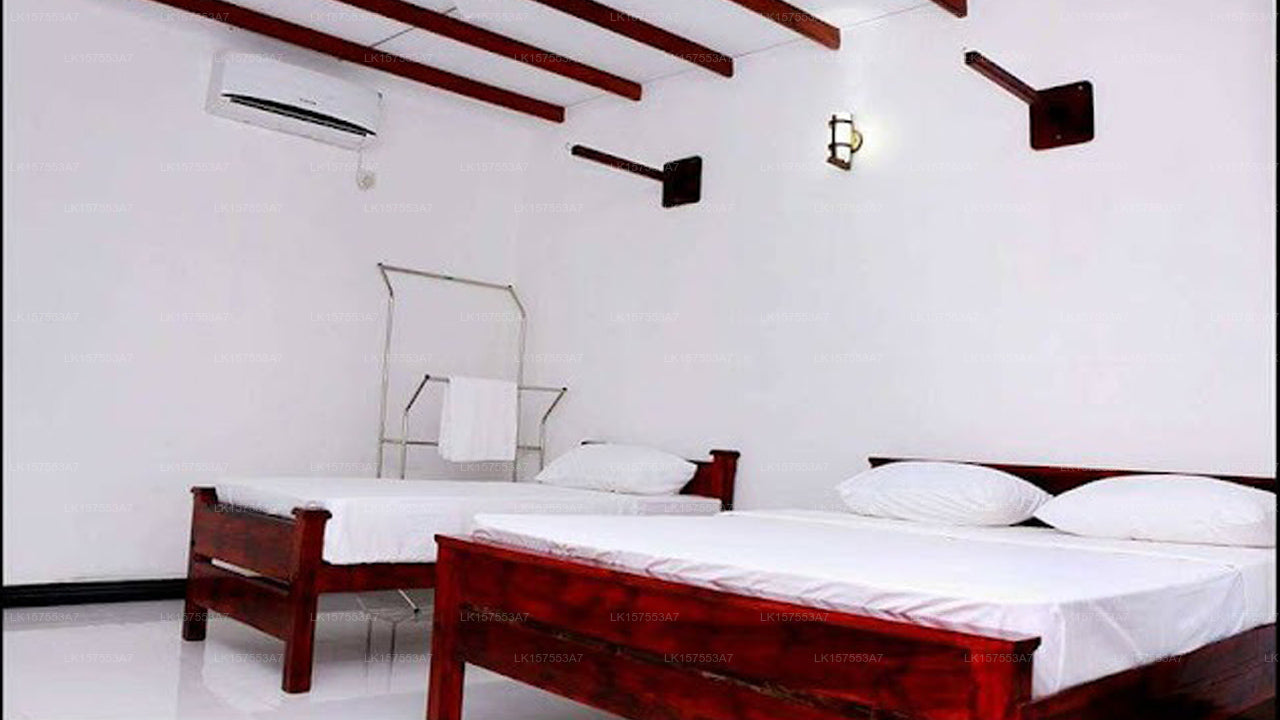 Man Guest, Polonnaruwa