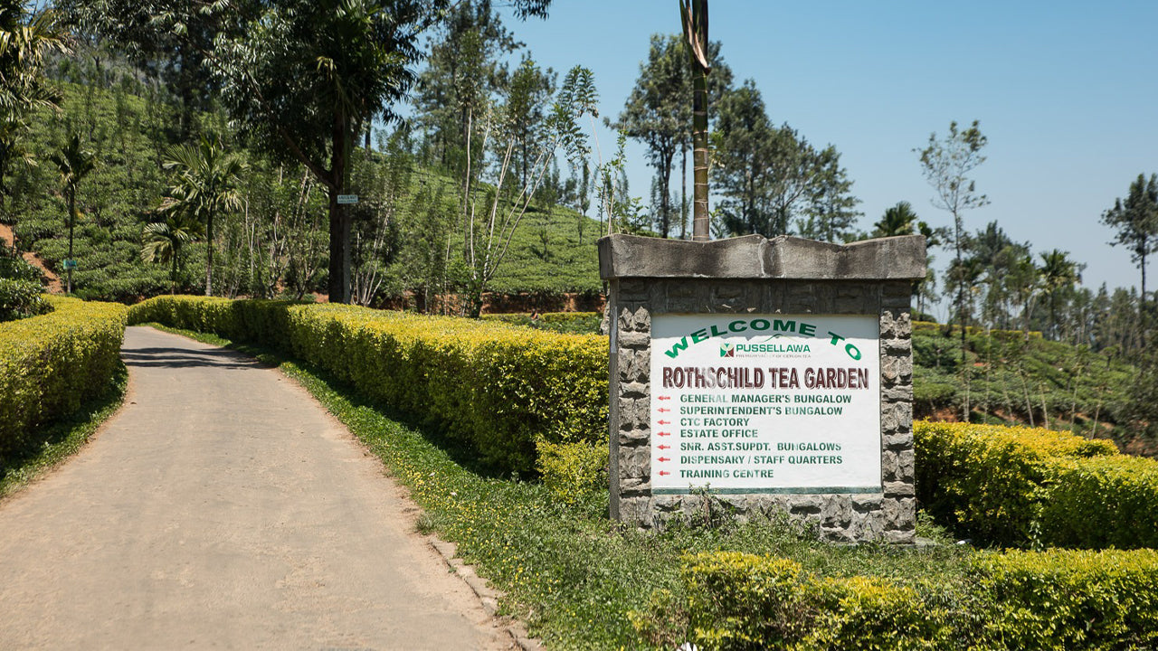 Rothschild Estate Superintendent Bungalow, Pussellawa