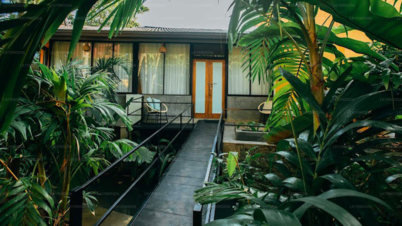 Boho Hiriketiya, Dikwella