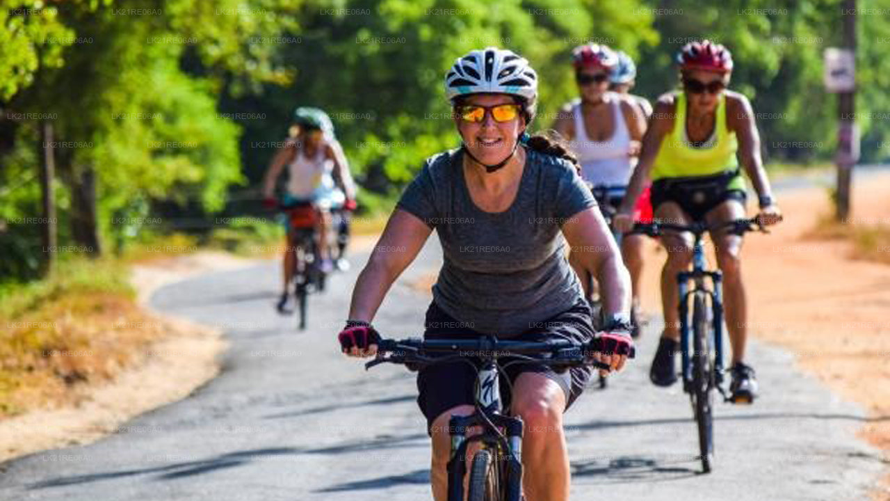 Půjčovna kol z Galle