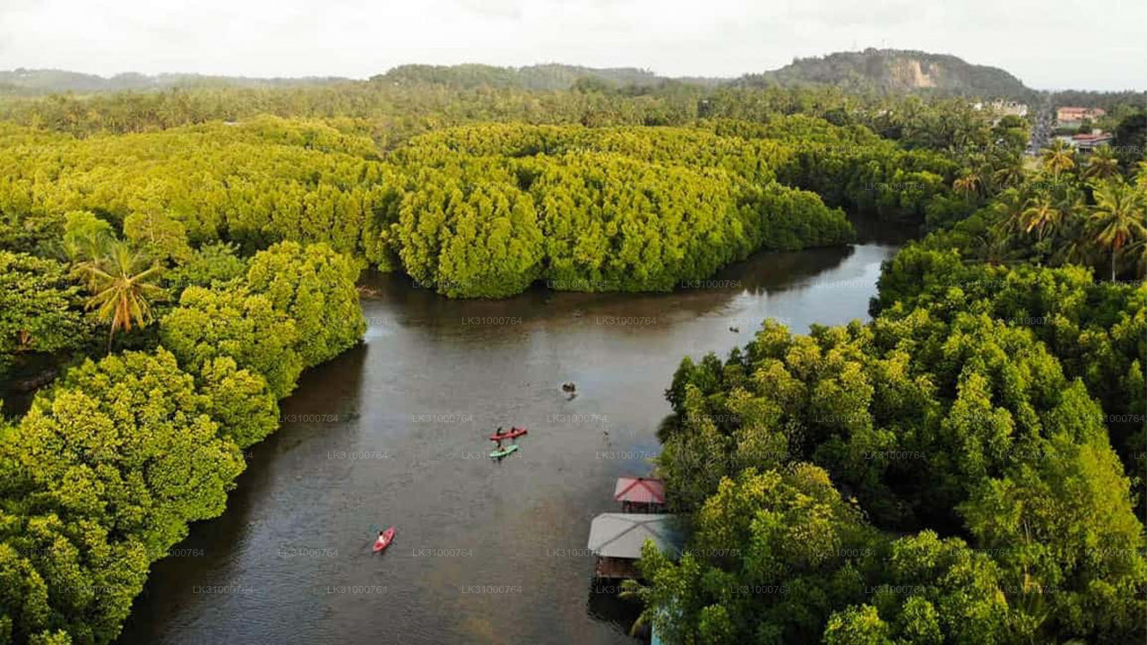 Aerial view of a river surrounded by lush green trees with kayakers in the water.