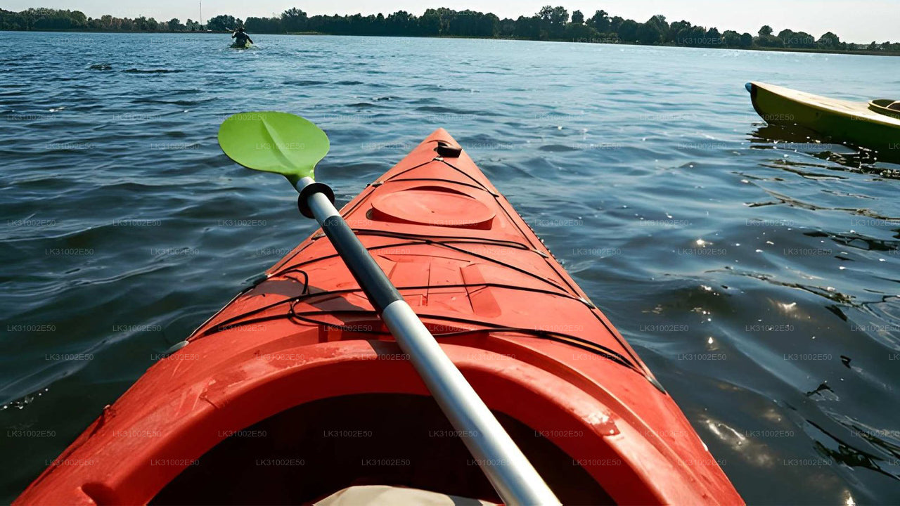 Lagoon Kayaking from Mawella