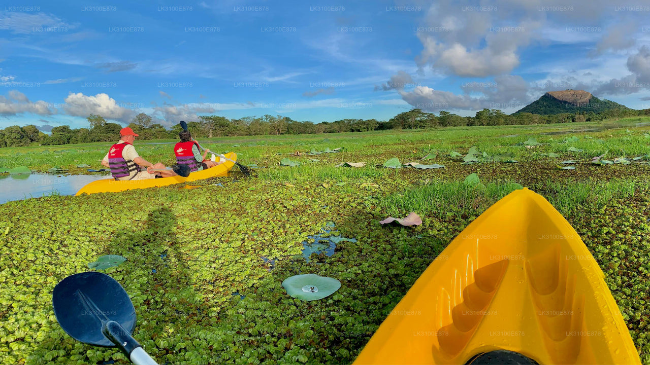 Two people in a kayak on a body of water with green vegetation and a mountain in the background.