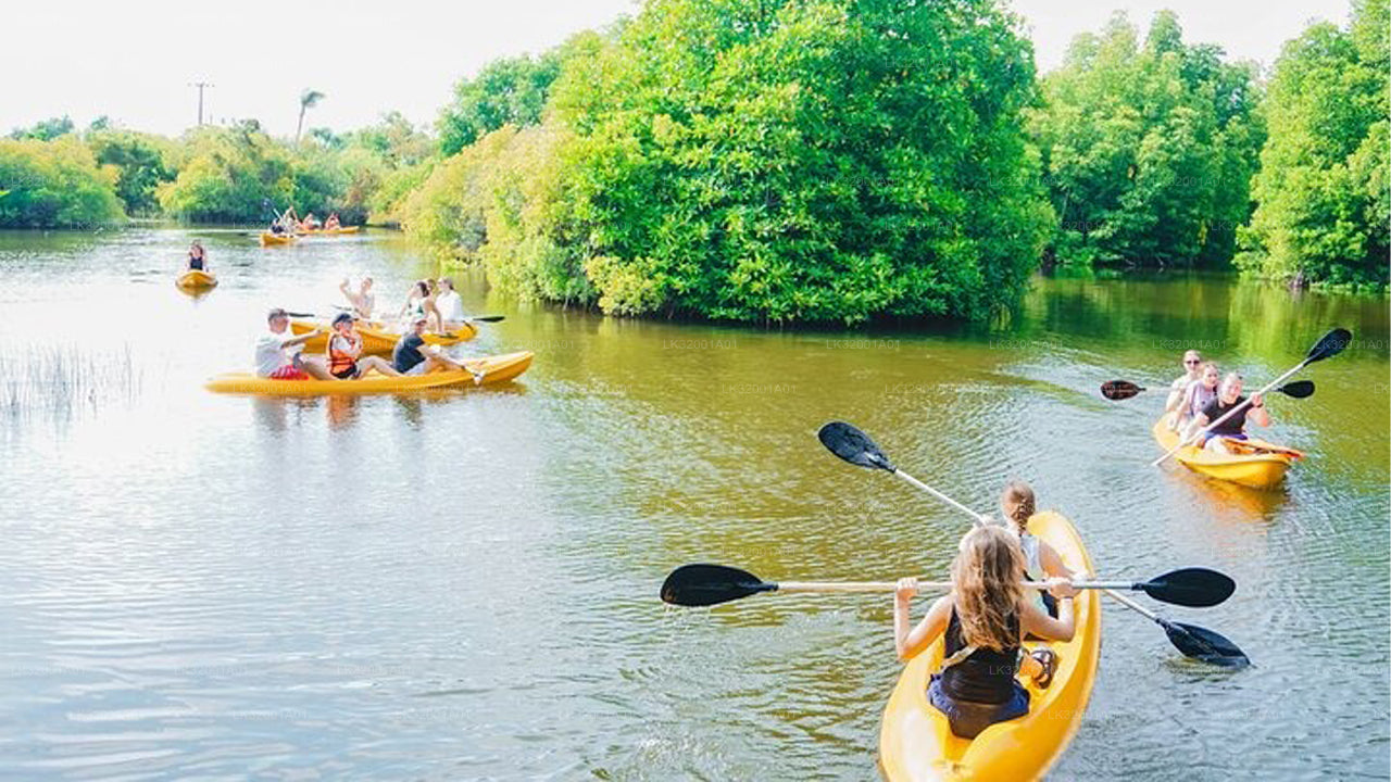 Lagoon Canoeing from Galle