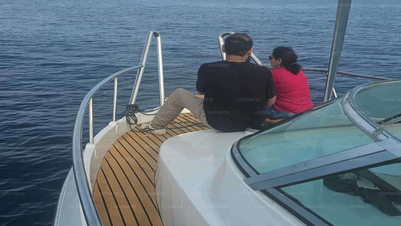 Soukromý výlet za pozorováním velryb luxusním motorovým člunem z Mirissy