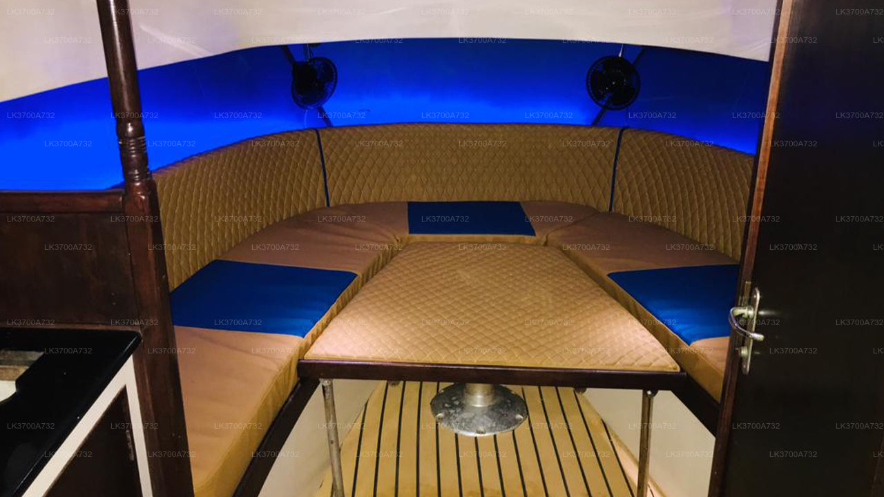 Soukromý výlet za pozorováním velryb luxusním motorovým člunem z Mirissy