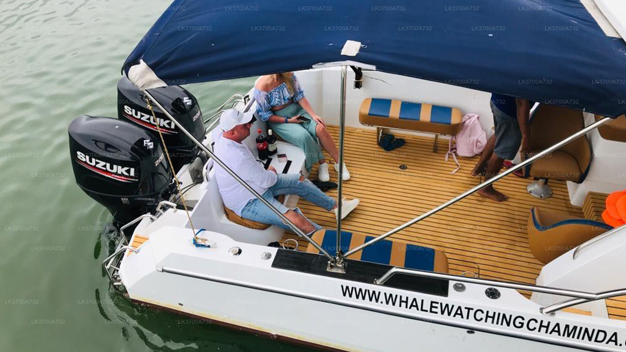 Soukromý výlet za pozorováním velryb luxusním motorovým člunem z Mirissy