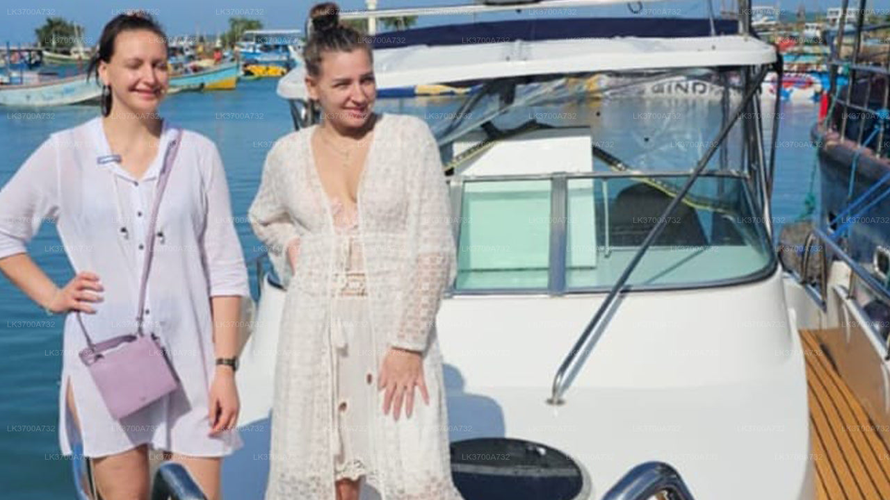 Soukromý výlet za pozorováním velryb luxusním motorovým člunem z Mirissy