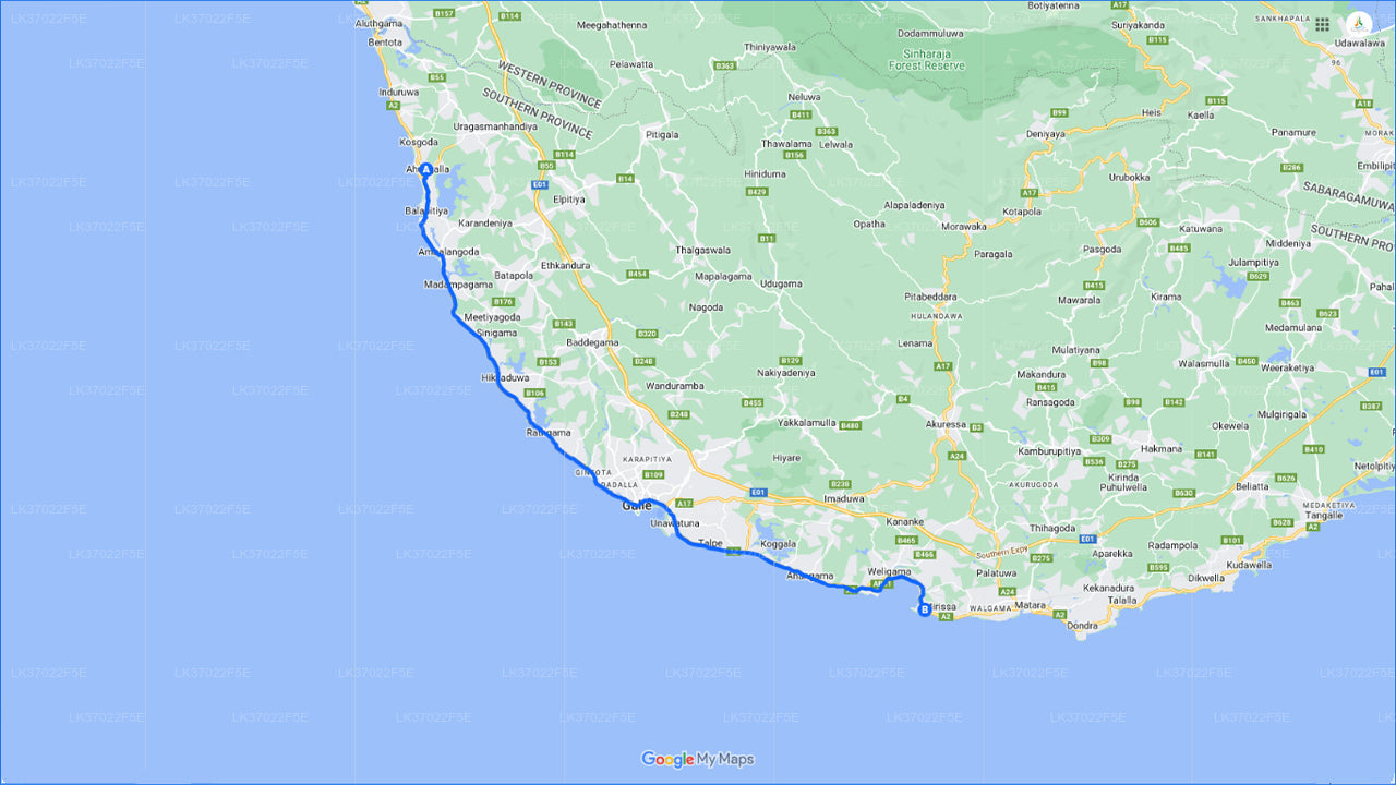 Pozorování velryb z Ahungally na sdílené lodi