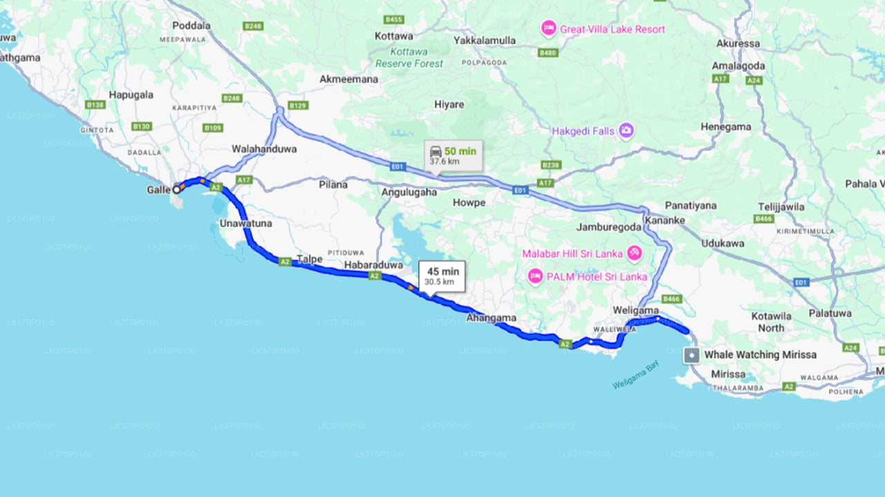 Pozorování velryb z Hiriketiya na sdílené lodi