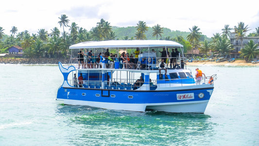 Pozorování velryb z Mirissy na sdílené lodi