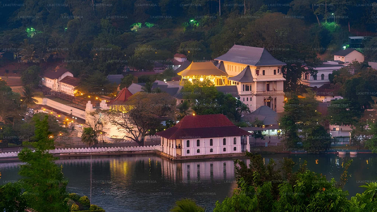 Z Elly do Kandy: Malebná cesta vlakem, autem nebo dodávkou