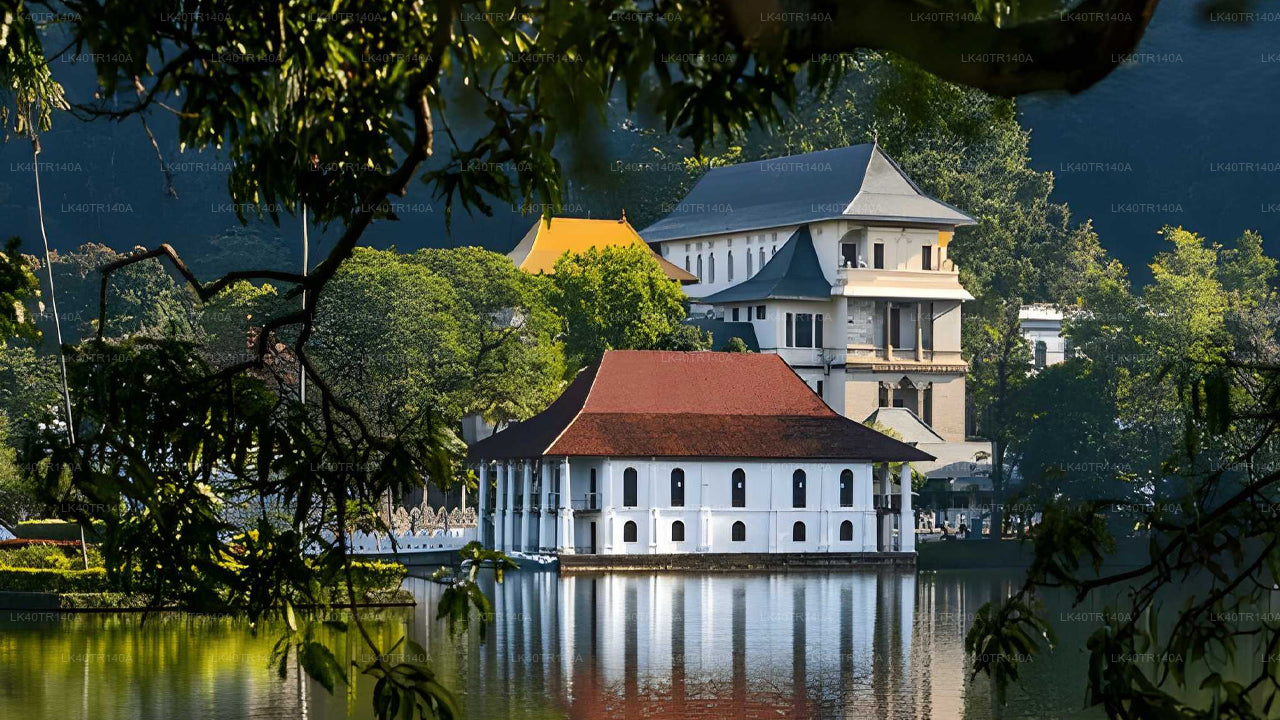 Z Elly do Kandy: Malebná cesta vlakem, autem nebo dodávkou