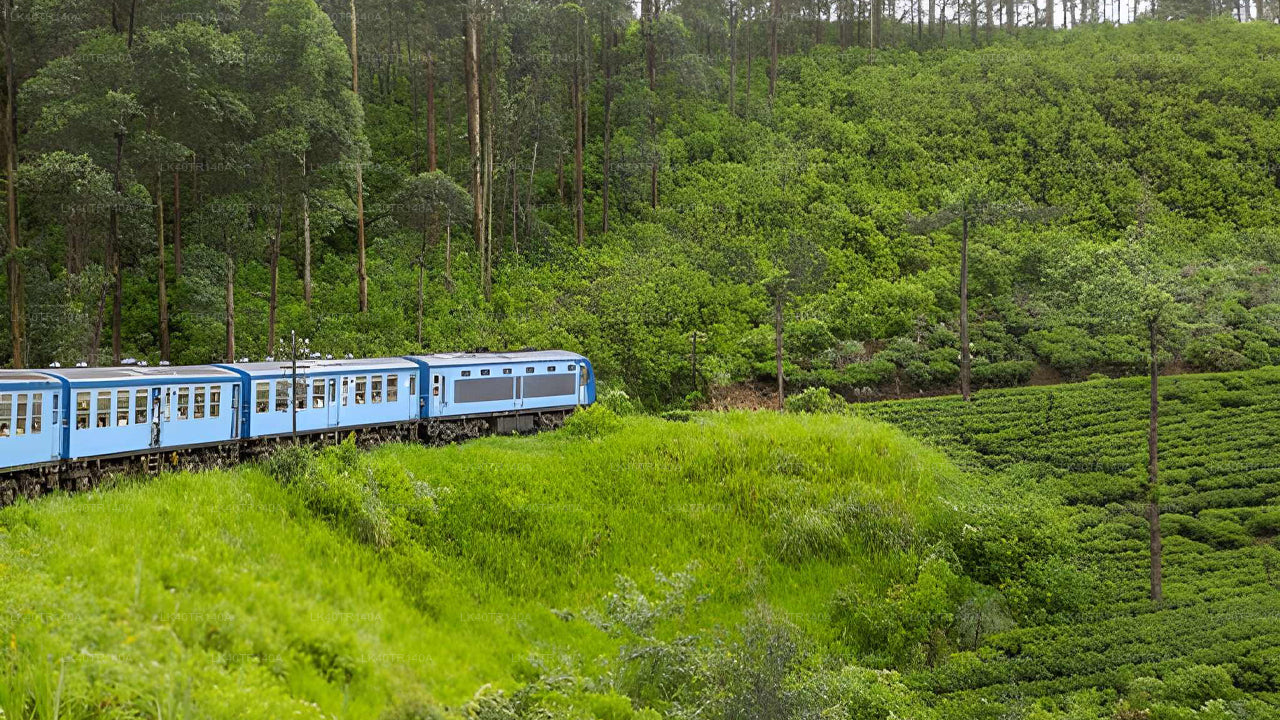 Kandy to Ella: A Scenic Journey by Train and Car or Van