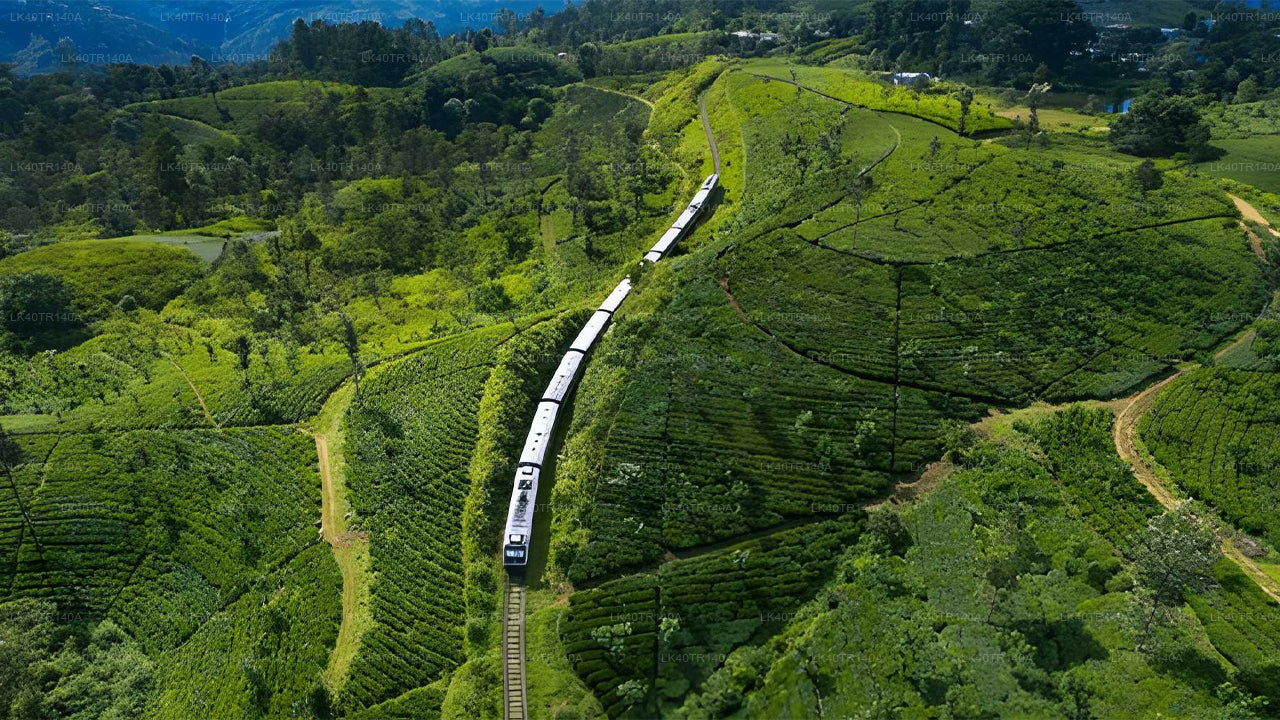 Kandy to Ella: A Scenic Journey by Train and Car or Van
