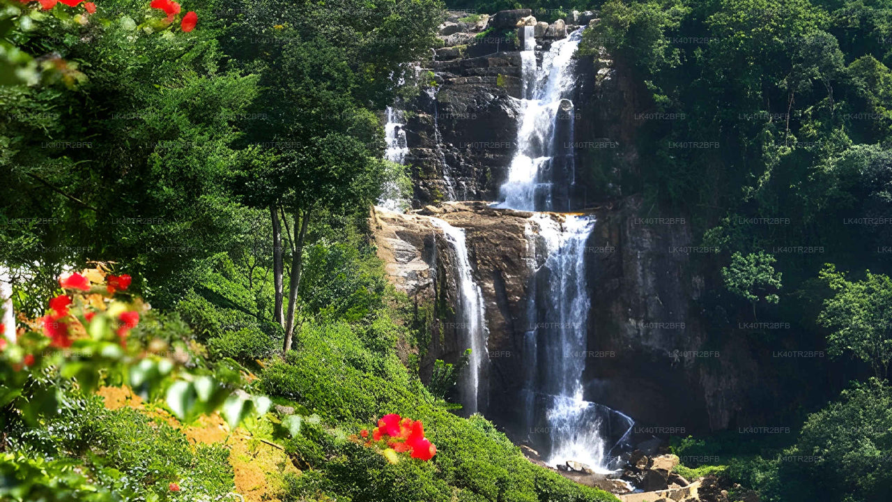 Scenic Private Transfer from Nuwara Eliya to Kandy with Sightseeing