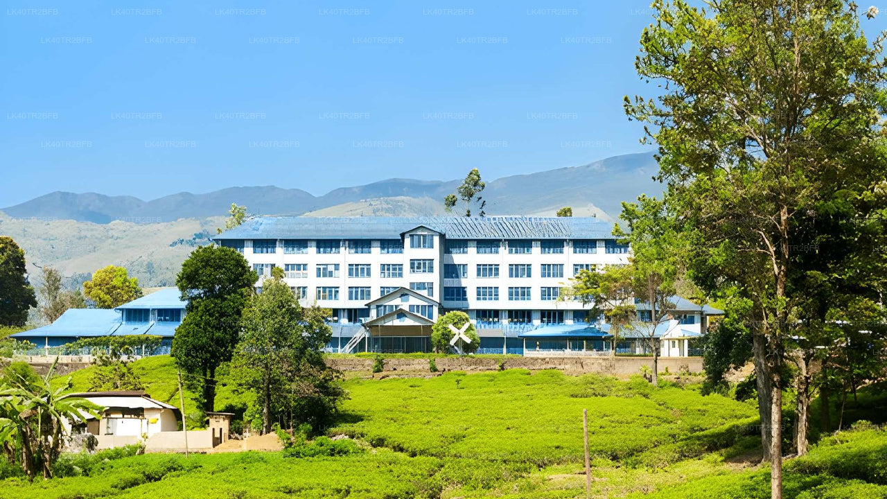 Scenic Private Transfer from Nuwara Eliya to Kandy with Sightseeing