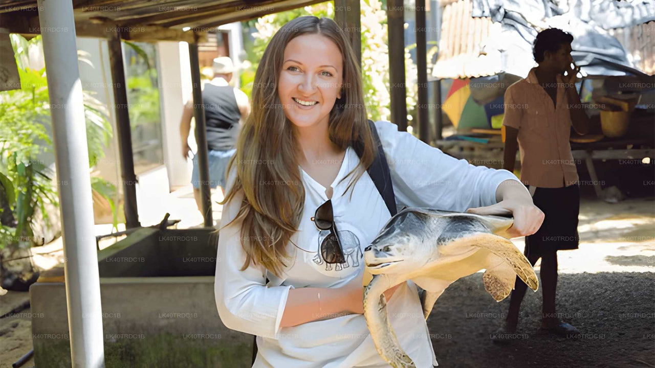 Soukromý transfer z Negomba do Hiriketiya s prohlídkou památek