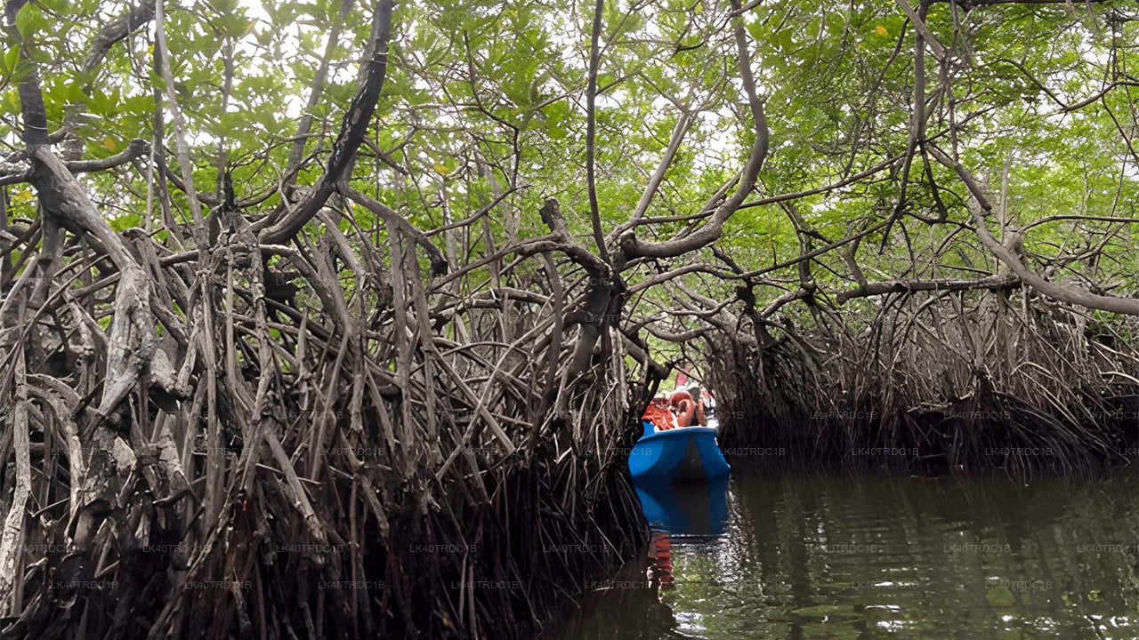 Soukromý transfer z Negomba do Hiriketiya s prohlídkou památek