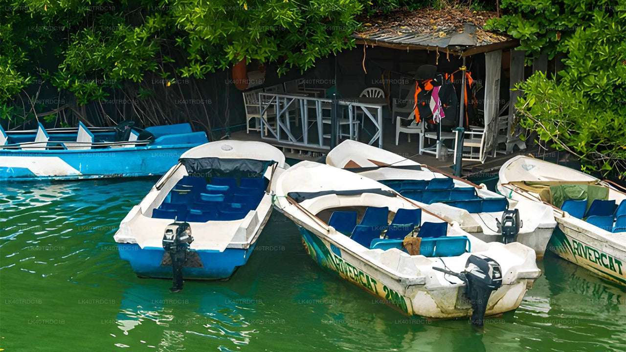 Soukromý transfer z Negomba do Hiriketiya s prohlídkou památek