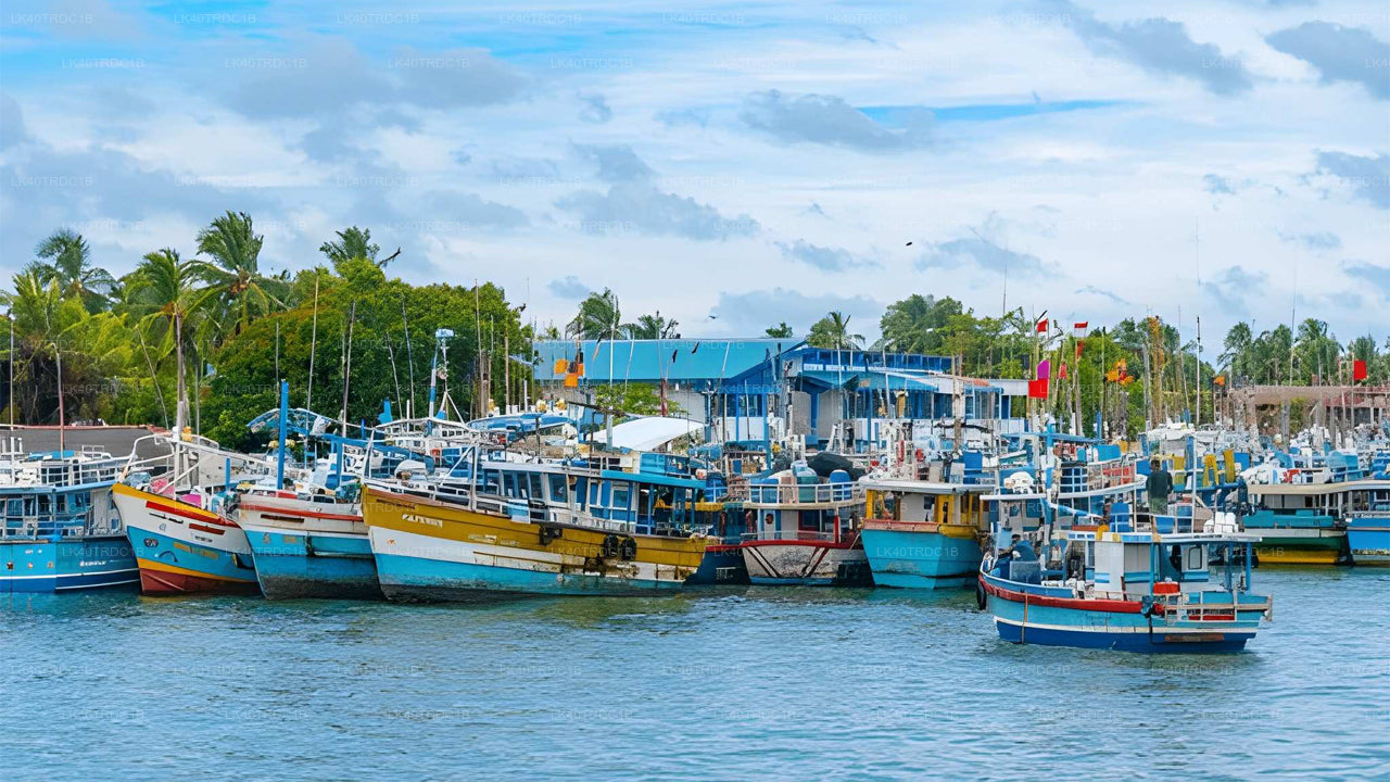 Soukromý transfer z Negomba do Hiriketiya s prohlídkou památek