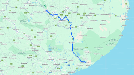 Nuwara Eliya City to Tissamaharama City Private Transfer