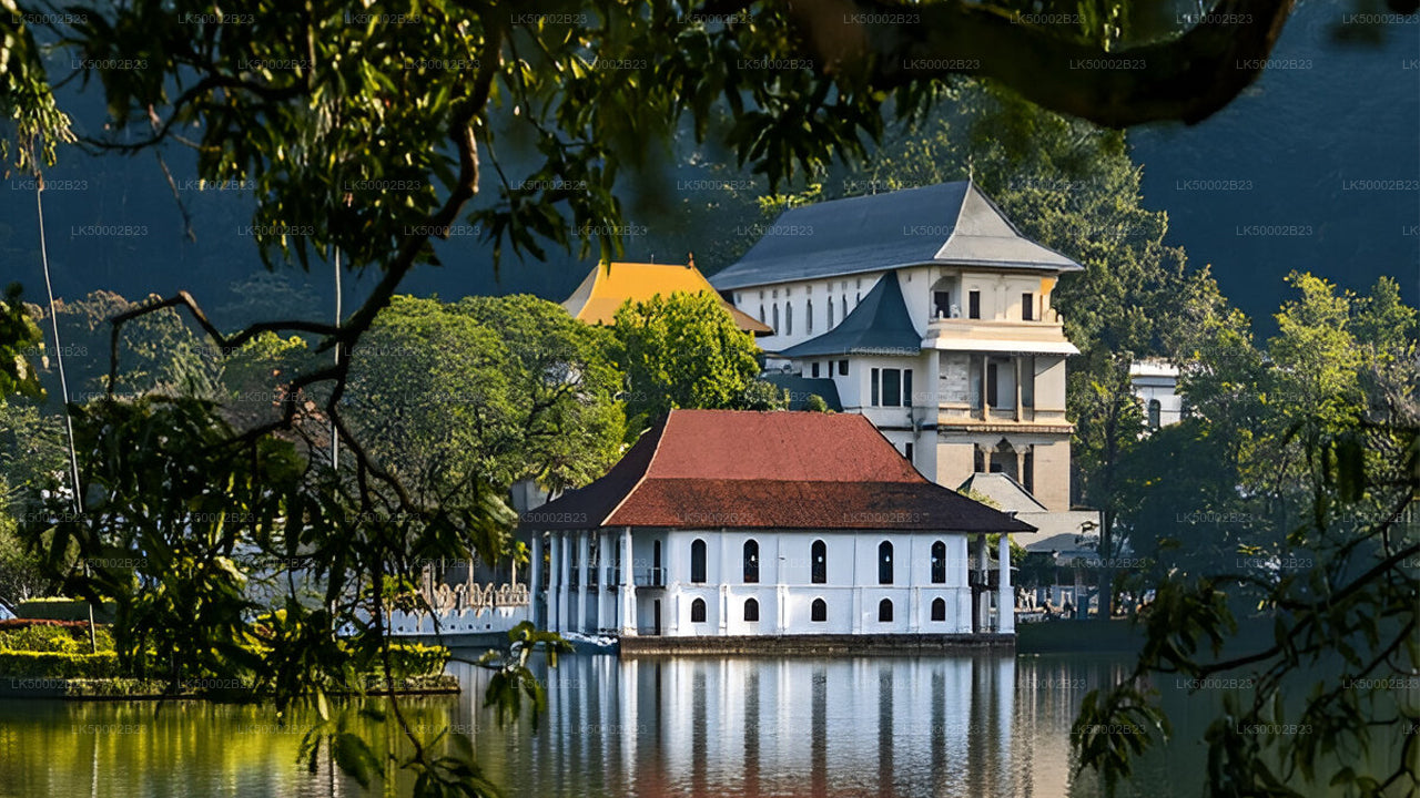 Private Tour from Polonnaruwa to Kandy with Wasgamuwa Safari