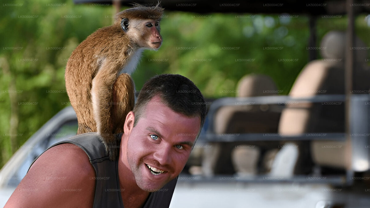 Soukromý výlet z Elly do Weligamy s Udawalawe Safari