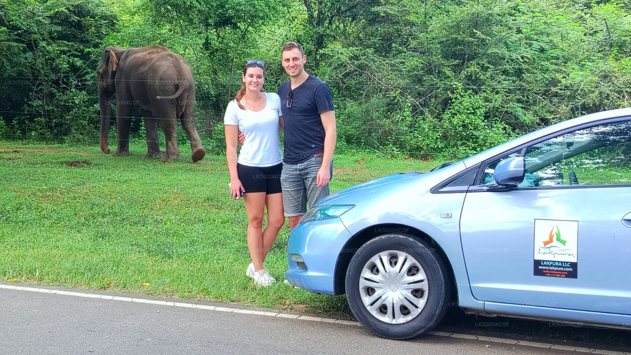 Soukromý výlet z Elly do Weligamy s Udawalawe Safari