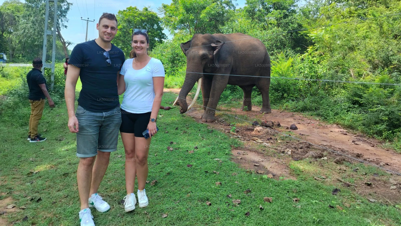 Soukromý výlet z Weligamy do Elly s Udawalawe Safari
