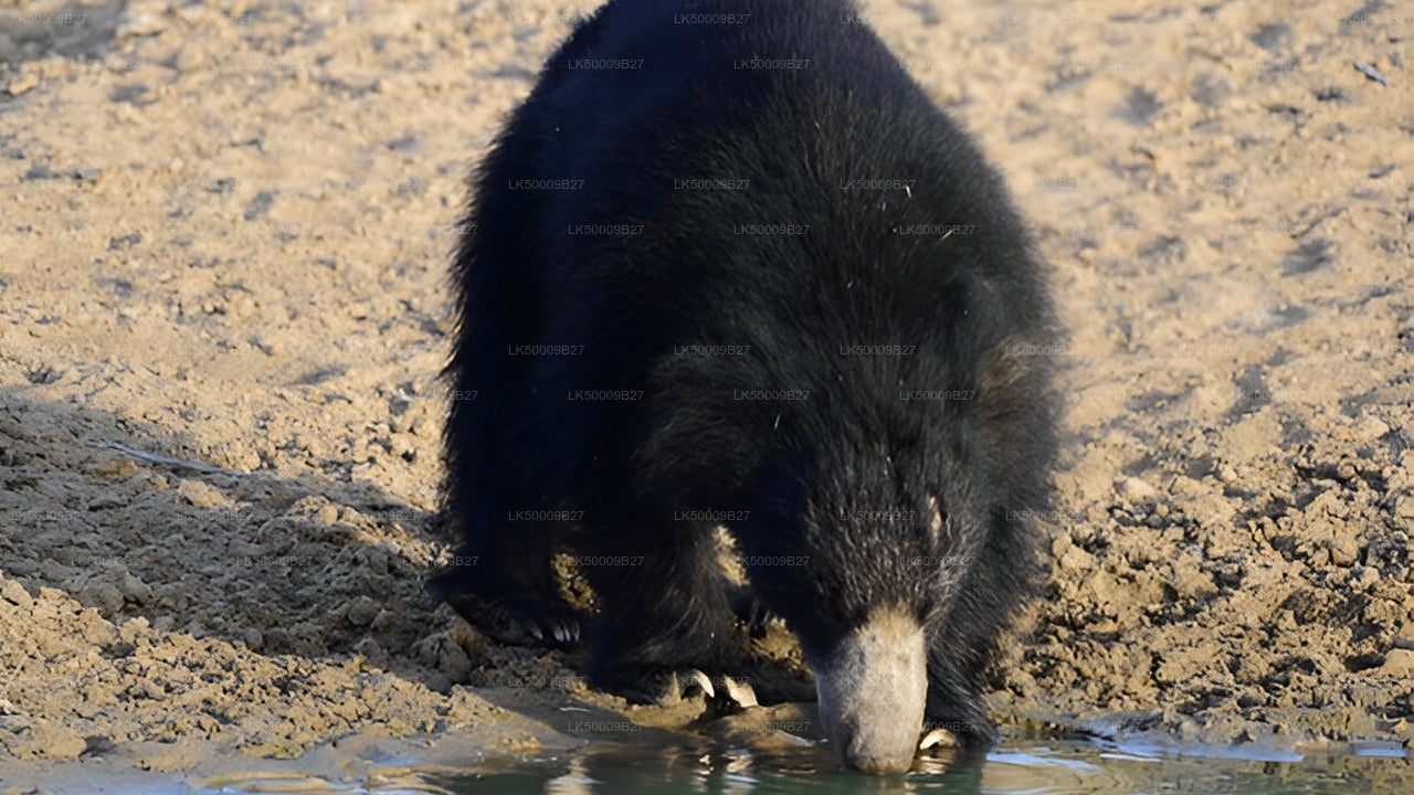Soukromý výlet z Weligamy do Elly s Yala Safari