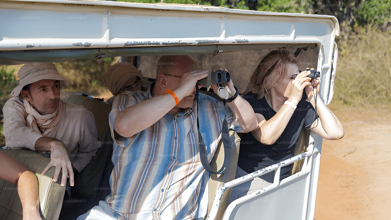 Soukromý výlet z Weligamy do Elly s Yala Safari