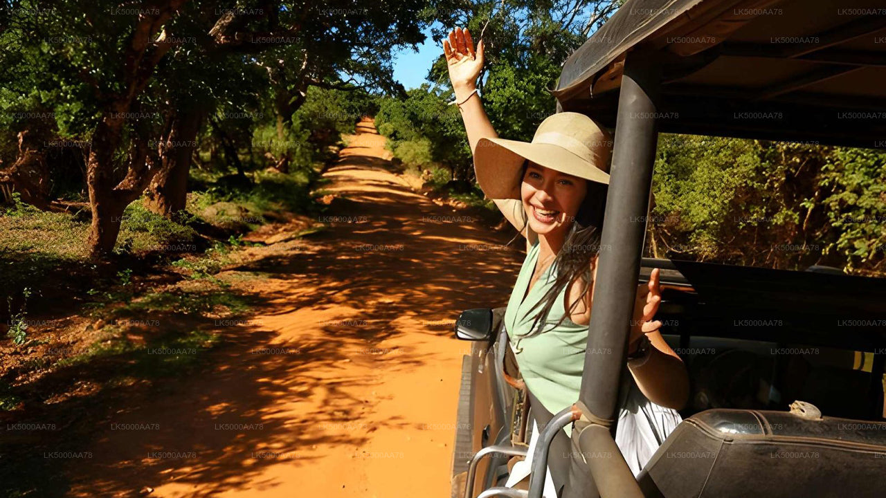 Soukromé safari v národním parku Wilpattu