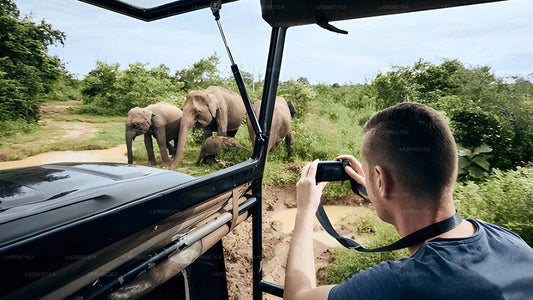 Soukromý výlet z Elly do Hiriketiya s Udawalawe Safari