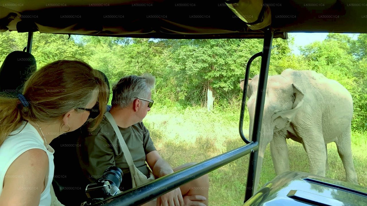 Soukromý výlet z Elly do Hiriketiya s Udawalawe Safari