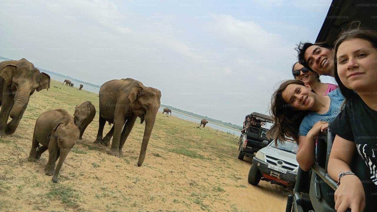 Soukromý výlet z Elly do Hiriketiya s Udawalawe Safari