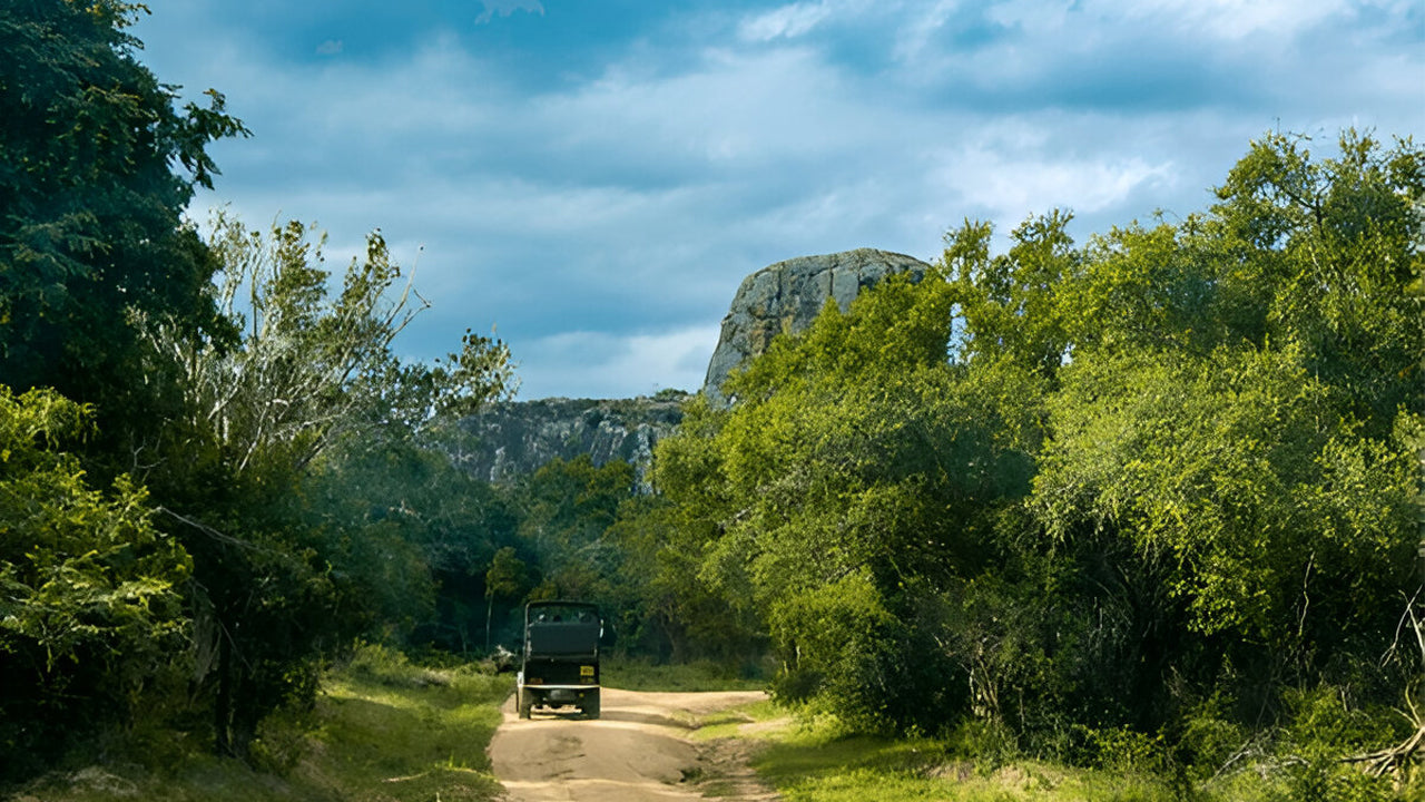 Národní park Yala (blok 5) Etické safari