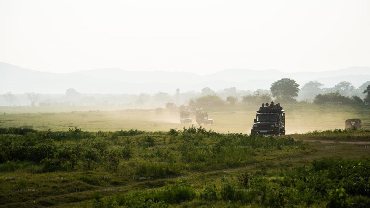 Soukromý výlet z Elly do Hiriketiya s Yala Safari
