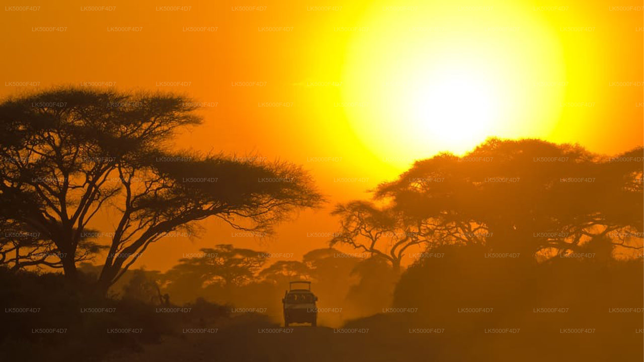 Soukromý výlet z Elly do Hiriketiya s Yala Safari