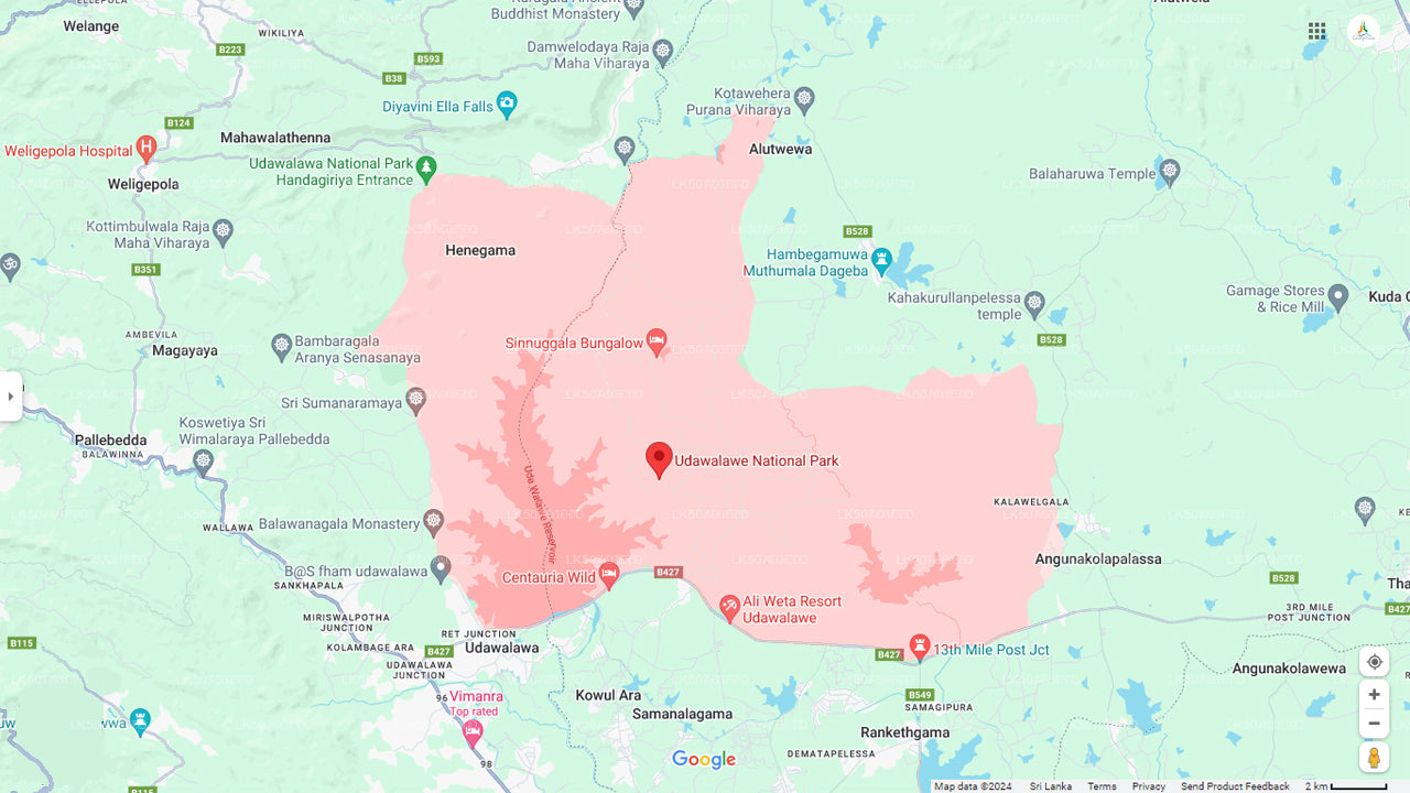 Soukromé safari s přírodovědcem v národním parku Udawalawe